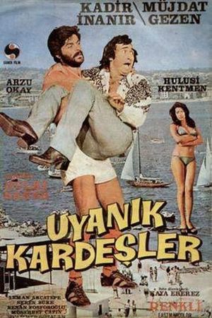 Uyanik Kardesler's poster