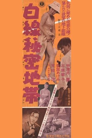 Secret White Line Zone's poster