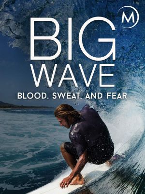 Big Wave: Blood, Sweat, and Fear's poster