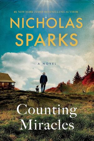 Counting Miracles's poster