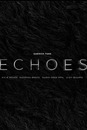 Echoes's poster