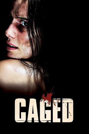 Captifs's poster