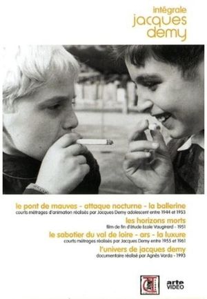 Le pont de Mauves's poster