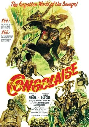 Congolaise's poster