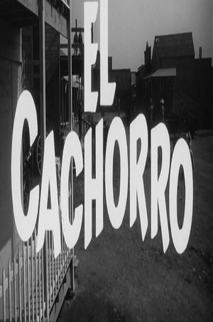 El cachorro's poster