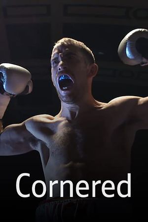 Cornered's poster image