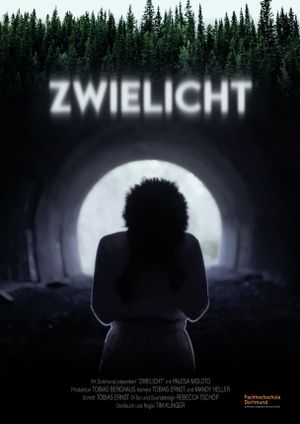 Zwielicht's poster image