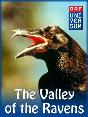 Valley of the Ravens's poster