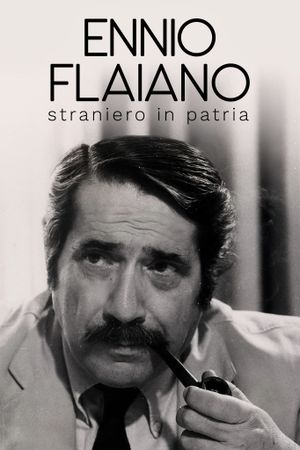 Ennio Flaiano, straniero in patria's poster
