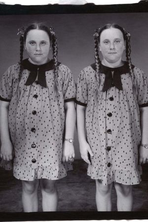Twins's poster
