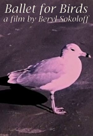 Ballet for Birds's poster