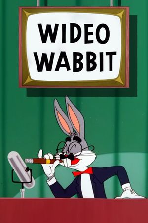 Wideo Wabbit's poster