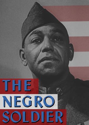 The Negro Soldier's poster