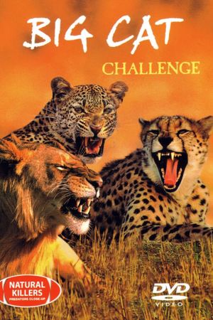 Big Cat Challenge's poster