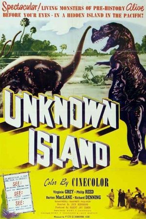 Unknown Island's poster