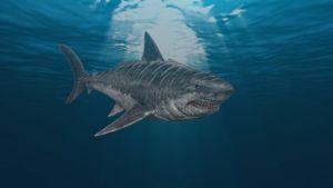 Jurassic Shark 2: Aquapocalypse's poster