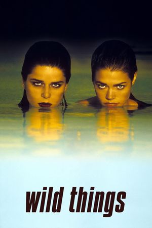 Wild Things's poster