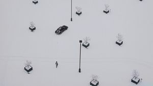 Fargo's poster