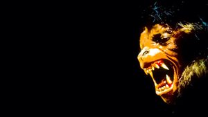 An American Werewolf in London's poster