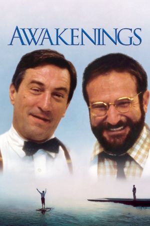 Awakenings's poster