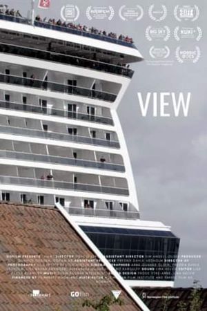 View's poster image