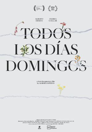 Everyday Is Like Sunday's poster
