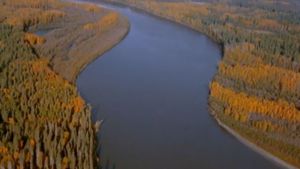 Footprints in the Delta's poster