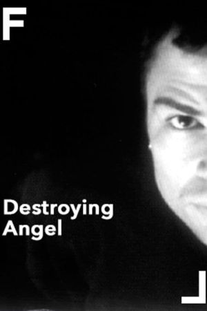 Destroying Angel's poster image