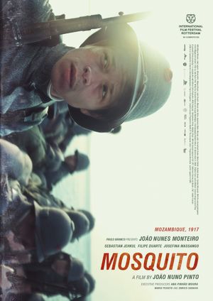 Mosquito's poster