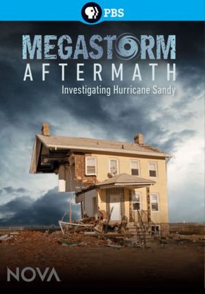 Megastorm Aftermath's poster