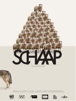 Sheep's poster image