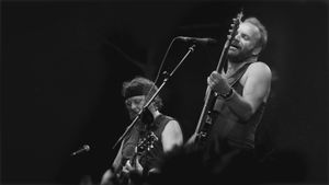 Sting: A Free Man's poster