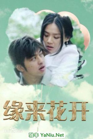 缘来花开's poster image