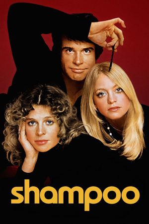 Shampoo's poster