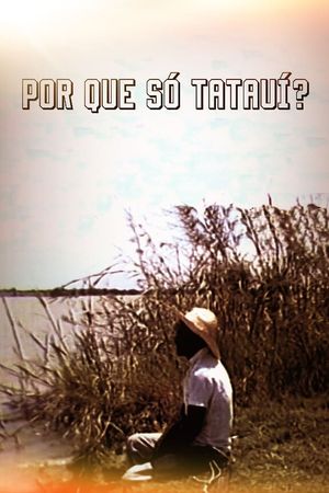 Por que Só Tatauí?'s poster image