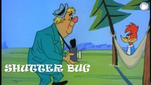 Shutter Bug's poster