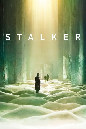Stalker's poster
