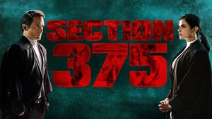 Section 375's poster