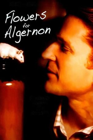 Flowers for Algernon's poster