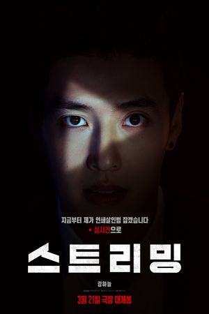 Streaming's poster