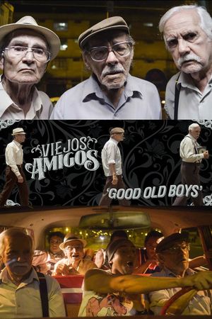 Viejos amigos's poster