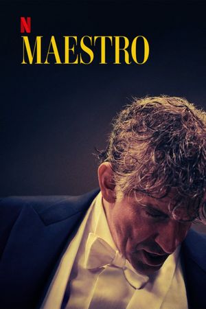 Maestro's poster