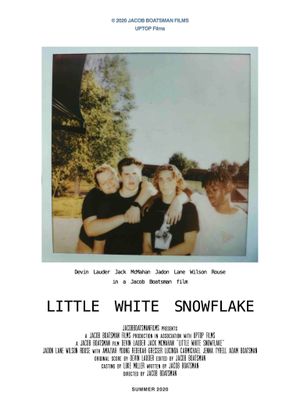 Little White Snowflake's poster