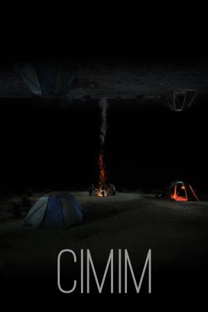 CIMIM's poster