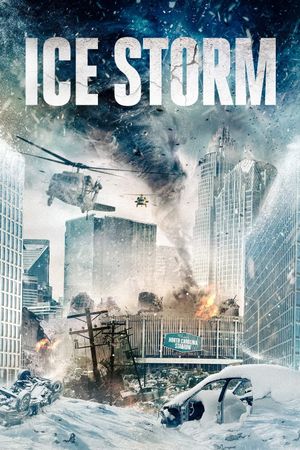 Ice Storm's poster image