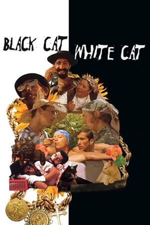 Black Cat, White Cat's poster