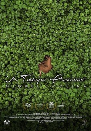Un tiempo precioso's poster