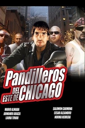 Chicago, pandillas salvajes's poster