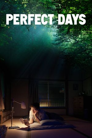 Perfect Days's poster