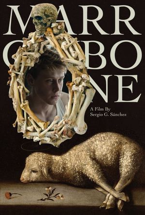 Marrowbone's poster